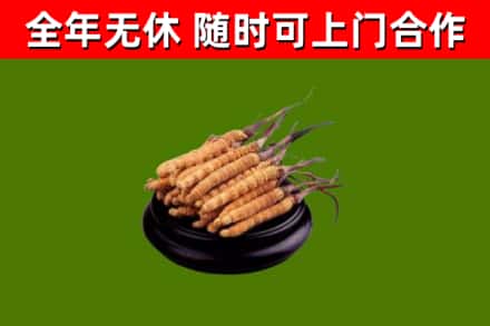 商河县烟酒回收冬虫夏草.jpg